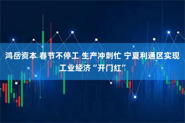鸿岳资本 春节不停工 生产冲刺忙 宁夏利通区实现工业经济“开门红”